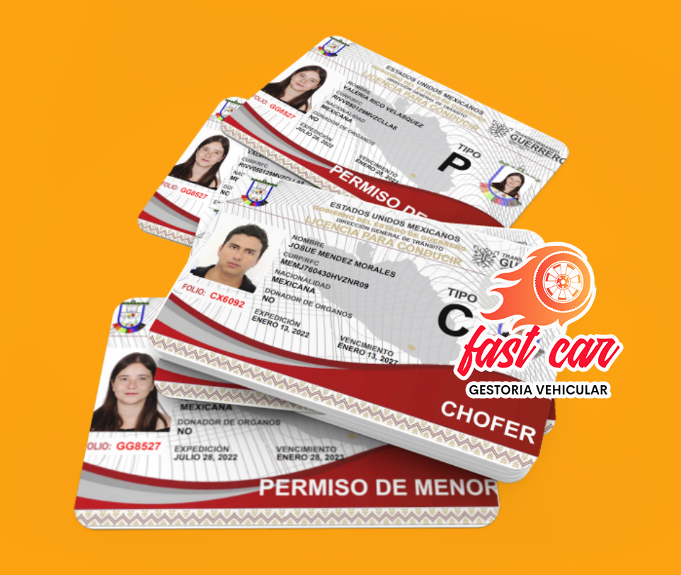 <span style="font-weight: bold;">LICENCIA DE CHOFER (C)</span><br>